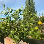 Maison Piscine A 1 Heure D'ajaccio * 卡尔热斯