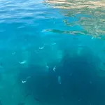 Maison Piscine A 1 Heure D'ajaccio 度假居 *