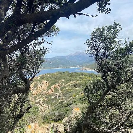 Maison Piscine A 1 Heure D'ajaccio Semesterbostad Cargèse