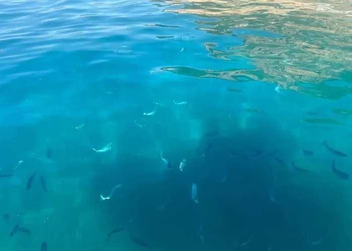 Maison Piscine A 1 Heure D'ajaccio 度假居 *