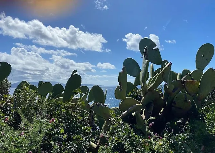 Maison Piscine A 1 Heure D'ajaccio * 卡尔热斯