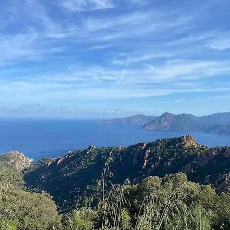 Maison Piscine A 1 Heure D'ajaccio *