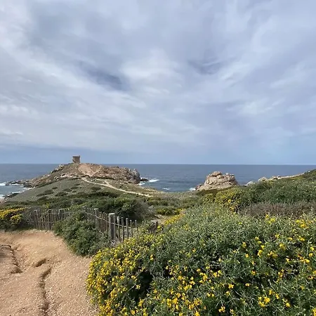 Maison Piscine A 1 Heure D'ajaccio * Cargèse