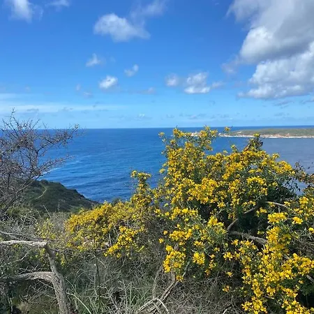 Maison Piscine A 1 Heure D'ajaccio Σπίτι διακοπών Cargèse