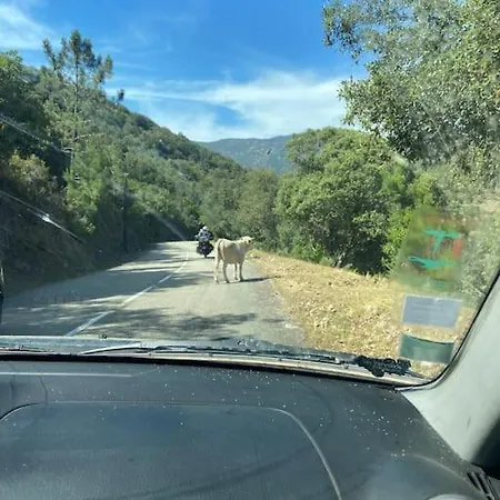 Σπίτι διακοπών Maison Piscine A 1 Heure D'ajaccio Cargèse