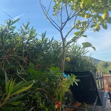 Σπίτι διακοπών Maison Piscine A 1 Heure D'ajaccio *