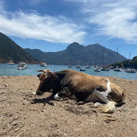 Maison Piscine A 1 Heure D'ajaccio Cargèse