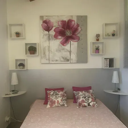 Maison Piscine A 1 Heure D'ajaccio