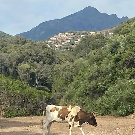 Maison Piscine A 1 Heure D'ajaccio Σπίτι διακοπών *