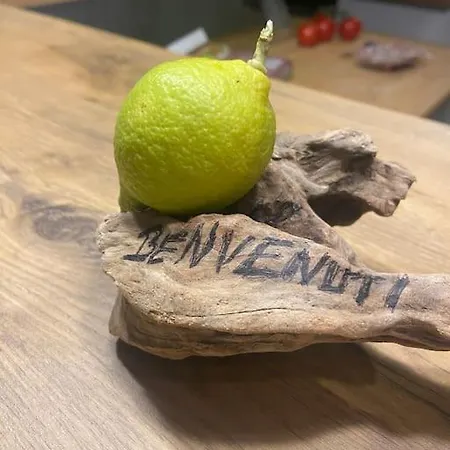 Maison Piscine A 1 Heure D'ajaccio *