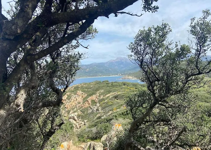 Maison Piscine A 1 Heure D'ajaccio Vakantiehuis Cargèse