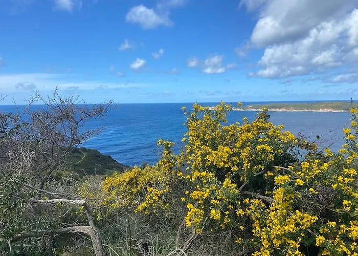 Maison Piscine A 1 Heure D'ajaccio Vakantiehuis Cargèse