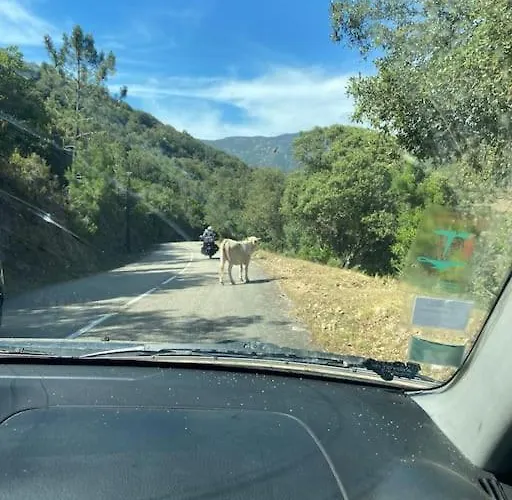 Vakantiehuis Maison Piscine A 1 Heure D'ajaccio Cargèse