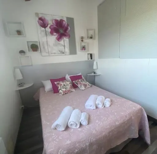 Maison Piscine A 1 Heure D'ajaccio *