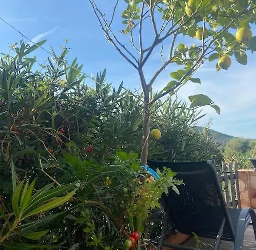 Holiday home Maison Piscine A 1 Heure D'ajaccio *
