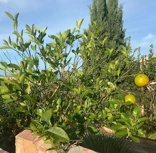 Maison Piscine A 1 Heure D'ajaccio * Cargèse