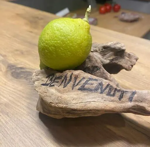 Maison Piscine A 1 Heure D'ajaccio Vakantiehuis Cargèse