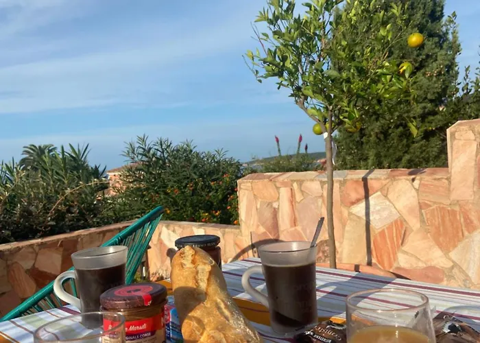 Vakantiehuis Maison Piscine A 1 Heure D'ajaccio *